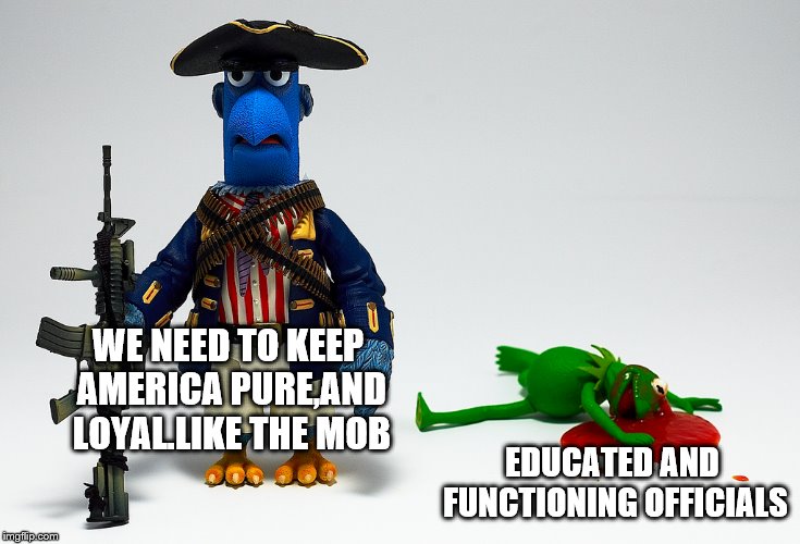 WE NEED TO KEEP AMERICA PURE,AND LOYAL.LIKE THE MOB EDUCATED AND FUNCTIONING OFFICIALS | made w/ Imgflip meme maker