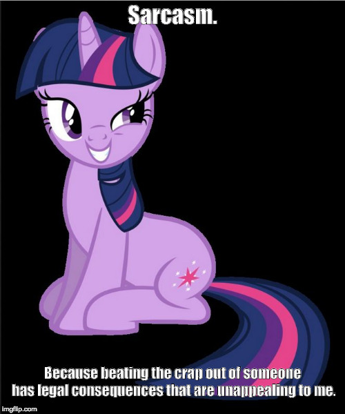Twilight Sparkle smarmy | Sarcasm. Because beating the crap out of someone has legal consequences that are unappealing to me. | image tagged in twilight sparkle smarmy | made w/ Imgflip meme maker
