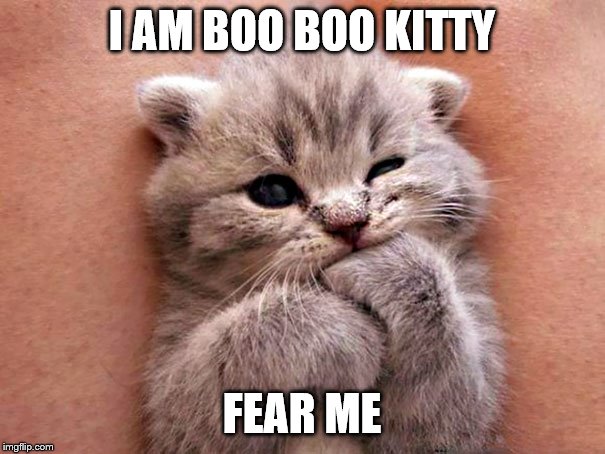 I AM BOO BOO KITTY FEAR ME | made w/ Imgflip meme maker