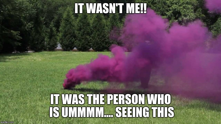 Fart Bomb | IT WASN'T ME!! IT WAS THE PERSON WHO IS UMMMM.... SEEING THIS | image tagged in funny | made w/ Imgflip meme maker