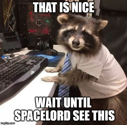 THAT IS NICE WAIT UNTIL SPACELORD SEE THIS | image tagged in racoon | made w/ Imgflip meme maker