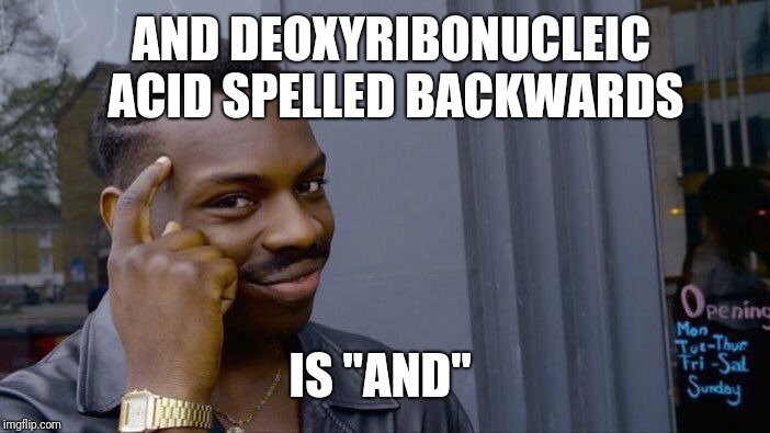 Roll Safe Think About It Meme | AND DEOXYRIBONUCLEIC ACID SPELLED BACKWARDS IS "AND" | image tagged in memes,roll safe think about it | made w/ Imgflip meme maker
