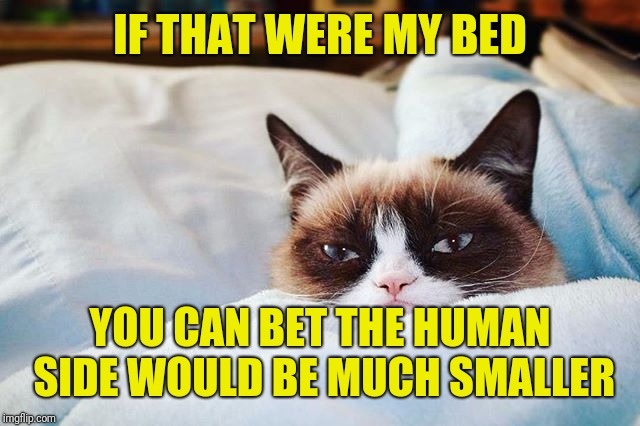 grumpy cat bed | IF THAT WERE MY BED YOU CAN BET THE HUMAN SIDE WOULD BE MUCH SMALLER | image tagged in grumpy cat bed | made w/ Imgflip meme maker