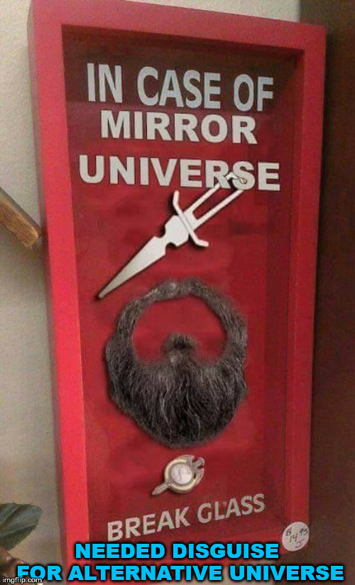 When you need just a beard to fit in to a new reality. | NEEDED DISGUISE FOR ALTERNATIVE UNIVERSE | image tagged in meme,star trek,alternate reality,funny meme,startrek | made w/ Imgflip meme maker