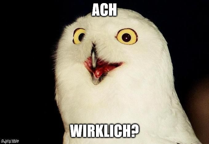 Orly Owl | ACH; WIRKLICH? | image tagged in orly owl | made w/ Imgflip meme maker