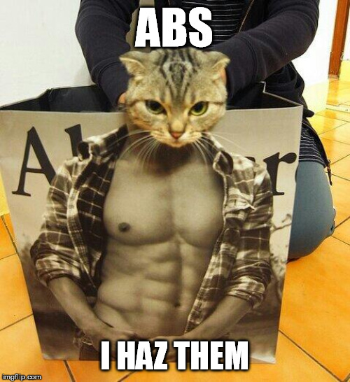 ABS I HAZ THEM | made w/ Imgflip meme maker