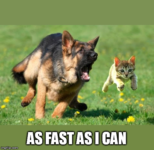 AS FAST AS I CAN | made w/ Imgflip meme maker