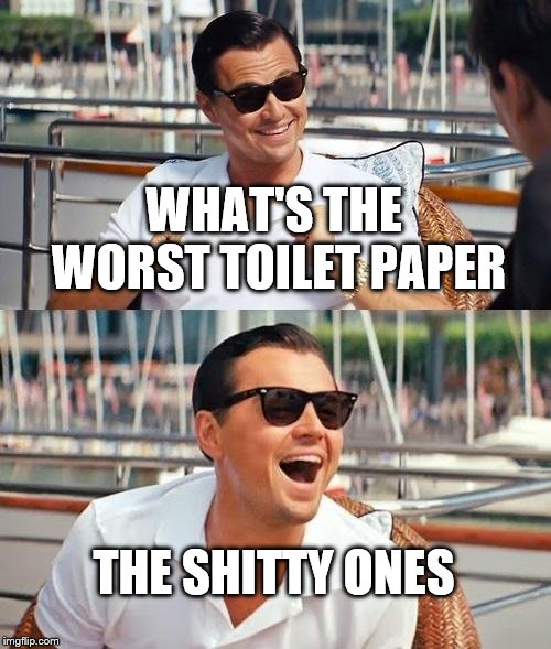 Leonardo Dicaprio Wolf Of Wall Street Meme | WHAT'S THE WORST TOILET PAPER; THE SHITTY ONES | image tagged in memes,leonardo dicaprio wolf of wall street | made w/ Imgflip meme maker