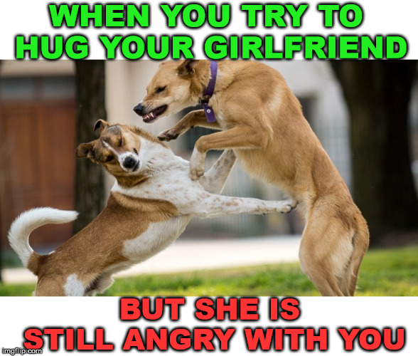 Doggo Week March 10-16 a Blaze_the_Blaziken and 1forpeace Event | WHEN YOU TRY TO HUG YOUR GIRLFRIEND; BUT SHE IS STILL ANGRY WITH YOU | image tagged in doggo week,dog week,1forpeace,blaze the blaziken,dog meme,relationships | made w/ Imgflip meme maker