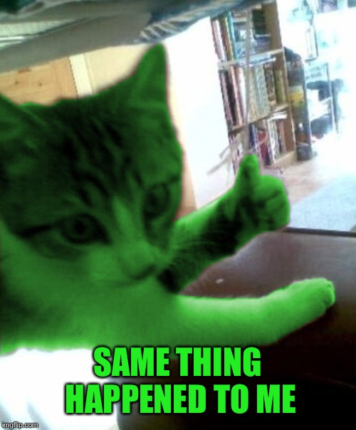 thumbs up RayCat | SAME THING HAPPENED TO ME | image tagged in thumbs up raycat | made w/ Imgflip meme maker