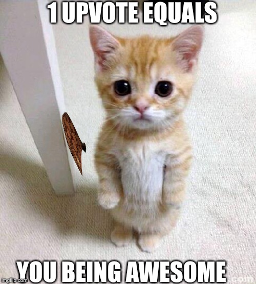 Cute Cat Meme | 1 UPVOTE EQUALS; YOU BEING AWESOME | image tagged in memes,cute cat | made w/ Imgflip meme maker