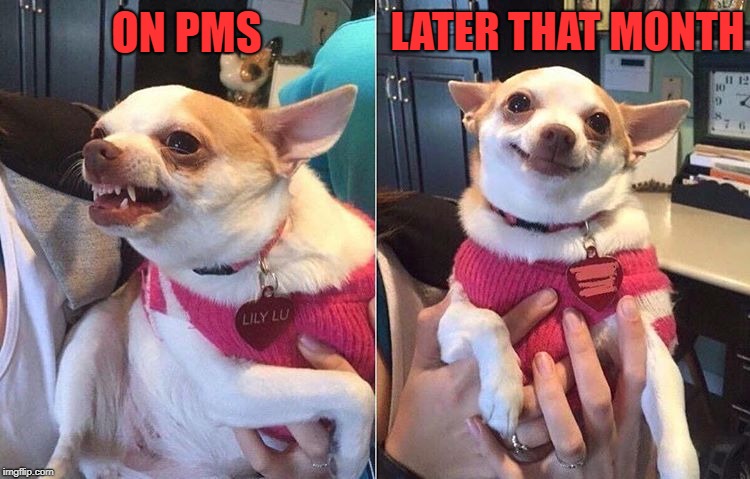 Your lady | ON PMS; LATER THAT MONTH | image tagged in angry dog meme,pms | made w/ Imgflip meme maker