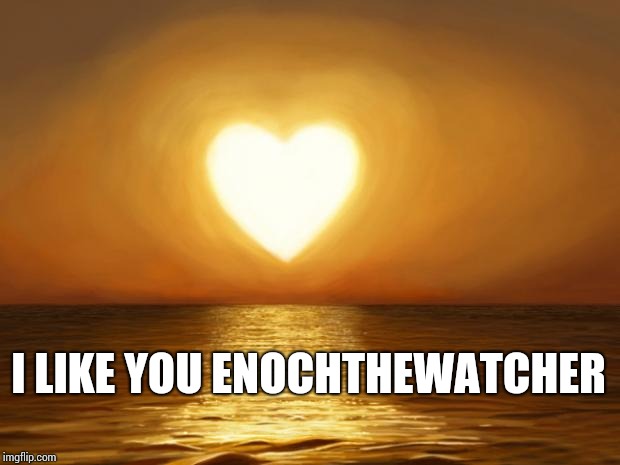 Love | I LIKE YOU ENOCHTHEWATCHER | image tagged in love | made w/ Imgflip meme maker