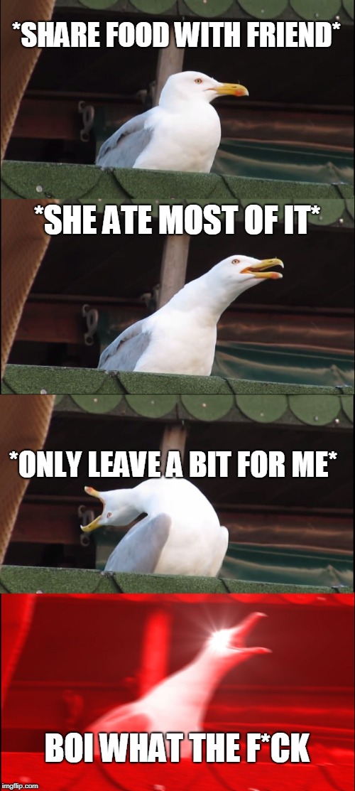 Inhaling Seagull Meme | *SHARE FOOD WITH FRIEND*; *SHE ATE MOST OF IT*; *ONLY LEAVE A BIT FOR ME*; BOI WHAT THE F*CK | image tagged in memes,inhaling seagull | made w/ Imgflip meme maker