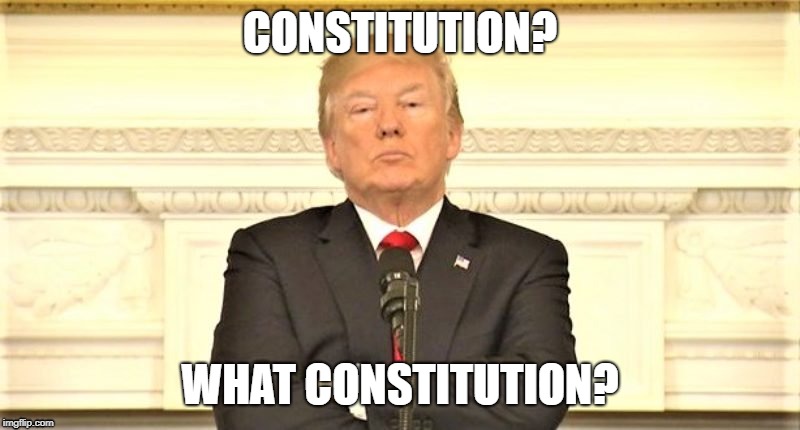 CONSTITUTION? WHAT CONSTITUTION? | image tagged in donald trump | made w/ Imgflip meme maker