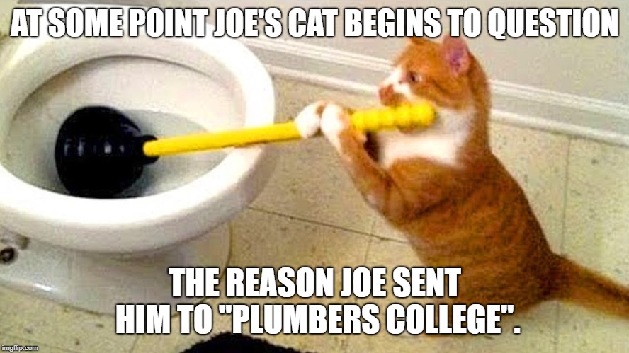 Plumber cat | AT SOME POINT JOE'S CAT BEGINS TO QUESTION; THE REASON JOE SENT HIM TO "PLUMBERS COLLEGE". | image tagged in plumber,cat,funny cat | made w/ Imgflip meme maker