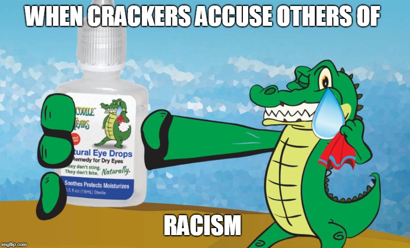 cuckservatives  | WHEN CRACKERS ACCUSE OTHERS OF; RACISM | image tagged in cucks | made w/ Imgflip meme maker