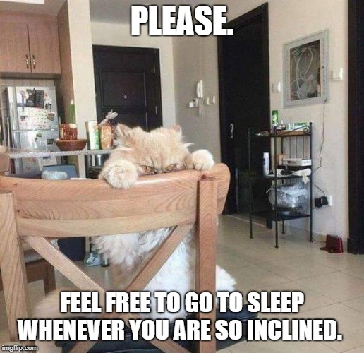 evil cat | PLEASE. FEEL FREE TO GO TO SLEEP WHENEVER YOU ARE SO INCLINED. | image tagged in evil cat | made w/ Imgflip meme maker
