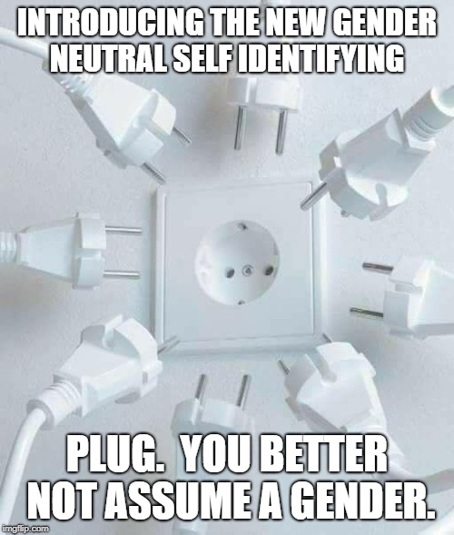 plugs | INTRODUCING THE NEW GENDER NEUTRAL SELF IDENTIFYING; PLUG.  YOU BETTER NOT ASSUME A GENDER. | image tagged in plugs | made w/ Imgflip meme maker