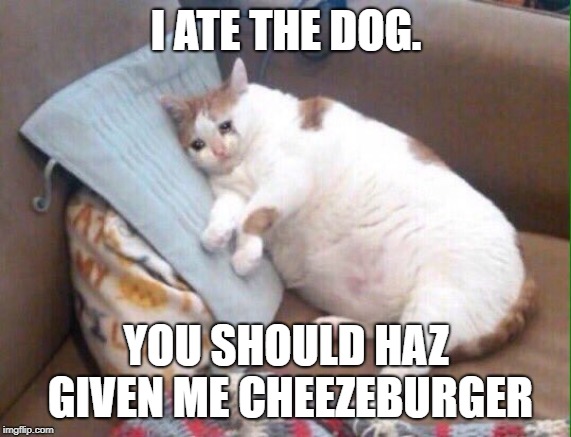 cat sad | I ATE THE DOG. YOU SHOULD HAZ GIVEN ME CHEEZEBURGER | image tagged in cat sad | made w/ Imgflip meme maker