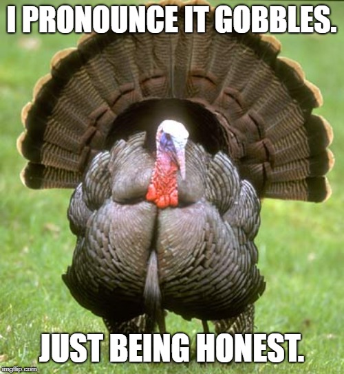 Turkey Meme | I PRONOUNCE IT GOBBLES. JUST BEING HONEST. | image tagged in memes,turkey | made w/ Imgflip meme maker