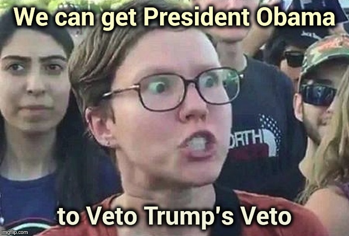 Don't worry Never-Trumpers | We can get President Obama; to Veto Trump's Veto | image tagged in triggered liberal,not my president,the struggle is real,ridiculous,he is about to say his first words | made w/ Imgflip meme maker