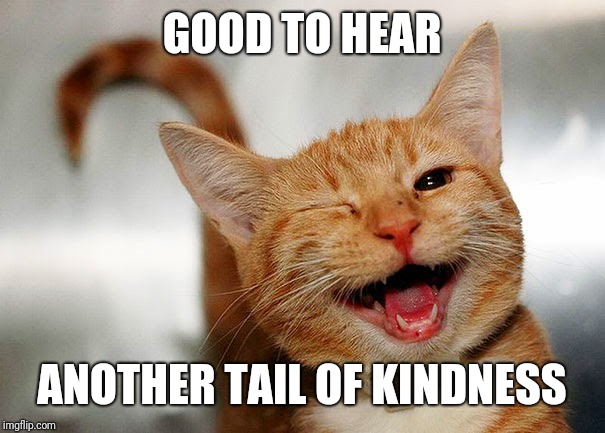 Cat Wink | GOOD TO HEAR ANOTHER TAIL OF KINDNESS | image tagged in cat wink | made w/ Imgflip meme maker