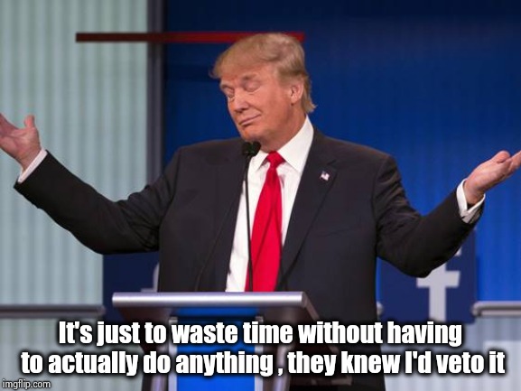 Trump Who Cares | It's just to waste time without having to actually do anything , they knew I'd veto it | image tagged in trump who cares | made w/ Imgflip meme maker