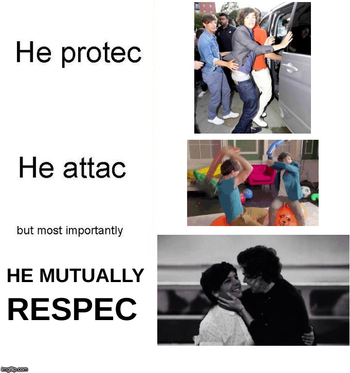 Larry Stylinson "mutual respect" | HE MUTUALLY; RESPEC | image tagged in one direction,larry stylinson,mutual respect | made w/ Imgflip meme maker