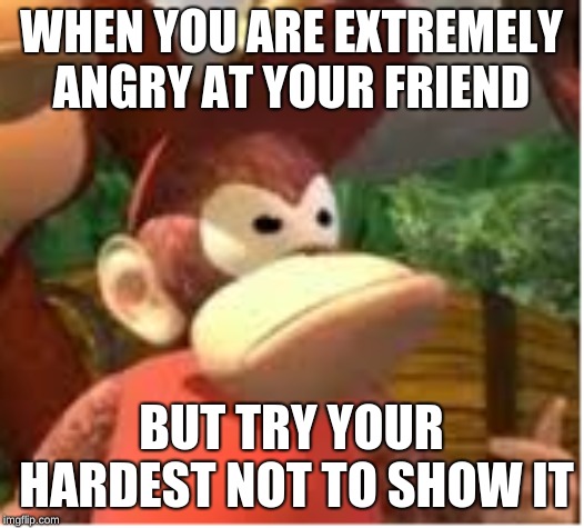 Diddy Kong | WHEN YOU ARE EXTREMELY ANGRY AT YOUR FRIEND; BUT TRY YOUR HARDEST NOT TO SHOW IT | image tagged in diddy kong | made w/ Imgflip meme maker