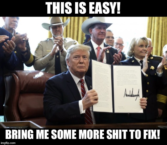 DON-VETO | THIS IS EASY! BRING ME SOME MORE SHIT TO FIX! | image tagged in maga | made w/ Imgflip meme maker