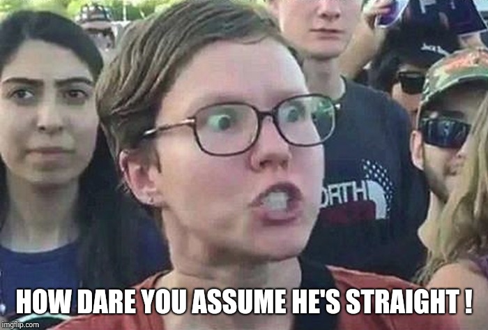 Triggered Liberal | HOW DARE YOU ASSUME HE'S STRAIGHT ! | image tagged in triggered liberal | made w/ Imgflip meme maker