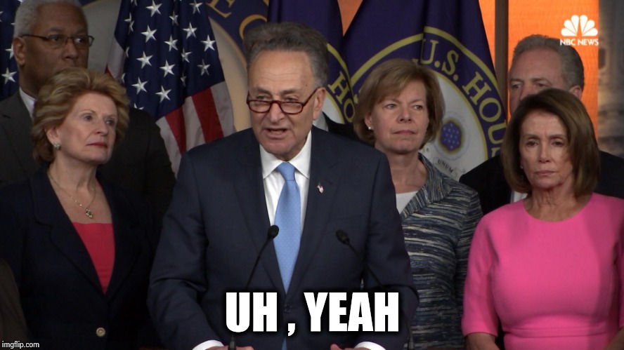 Democrat congressmen | UH , YEAH | image tagged in democrat congressmen | made w/ Imgflip meme maker