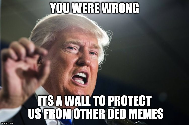 donald trump | YOU WERE WRONG; ITS A WALL TO PROTECT US FROM OTHER DED MEMES | image tagged in donald trump | made w/ Imgflip meme maker