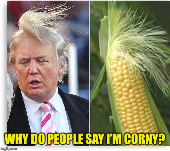 WHY DO PEOPLE SAY I’M CORNY? | made w/ Imgflip meme maker