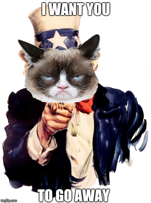 Go to your local airport today | I WANT YOU; TO GO AWAY | image tagged in memes,uncle sam,grumpy cat | made w/ Imgflip meme maker