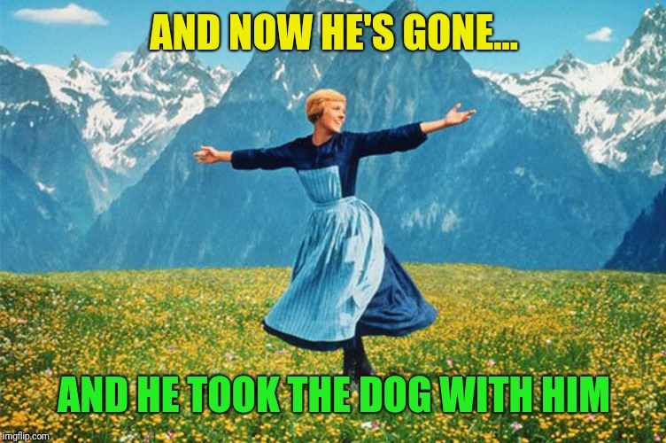 Woman in a field of flowers | AND NOW HE'S GONE... AND HE TOOK THE DOG WITH HIM | image tagged in woman in a field of flowers | made w/ Imgflip meme maker