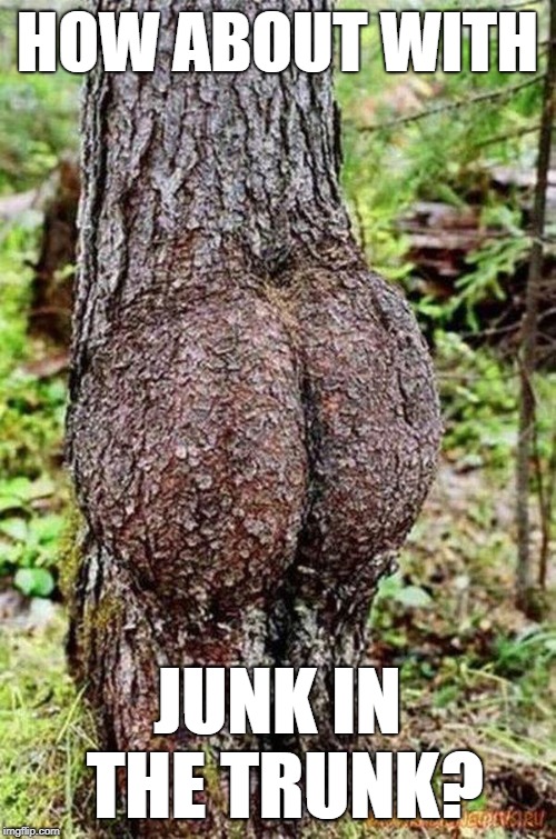 Sexy Tree | HOW ABOUT WITH JUNK IN THE TRUNK? | image tagged in sexy tree | made w/ Imgflip meme maker