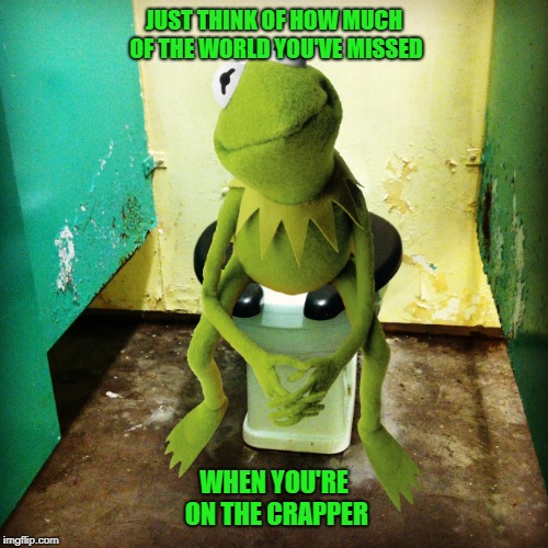 Philosophical Crap | JUST THINK OF HOW MUCH OF THE WORLD YOU'VE MISSED; WHEN YOU'RE ON THE CRAPPER | image tagged in kermit public toilet,existential questions,bein' green,memes | made w/ Imgflip meme maker