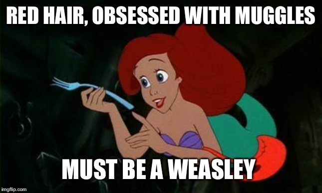 Ariel | RED HAIR, OBSESSED WITH MUGGLES; MUST BE A WEASLEY | image tagged in ariel | made w/ Imgflip meme maker