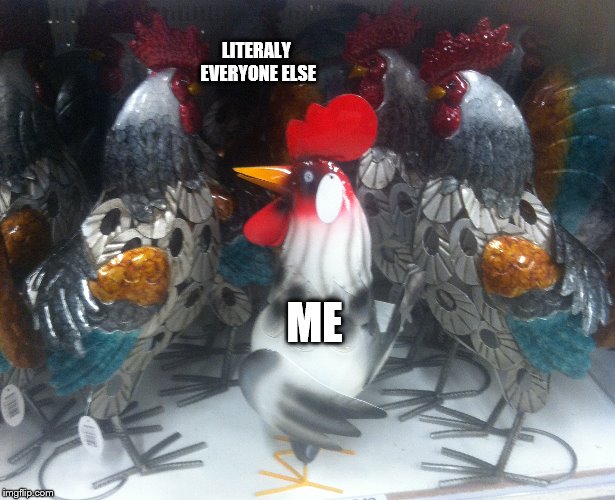 LITERALY EVERYONE ELSE; ME | made w/ Imgflip meme maker