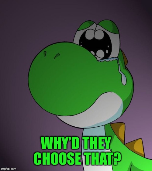 Sad Yoshi | WHY’D THEY CHOOSE THAT? | image tagged in sad yoshi | made w/ Imgflip meme maker