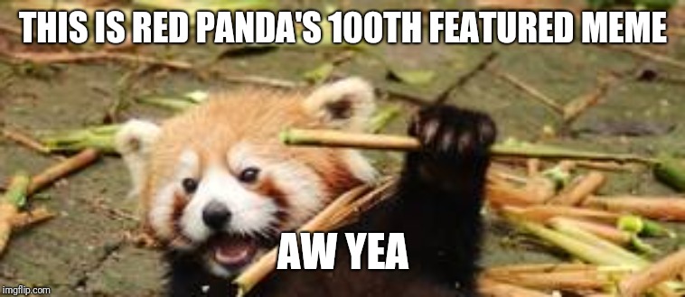 THIS IS RED PANDA'S 100TH FEATURED MEME AW YEA | made w/ Imgflip meme maker