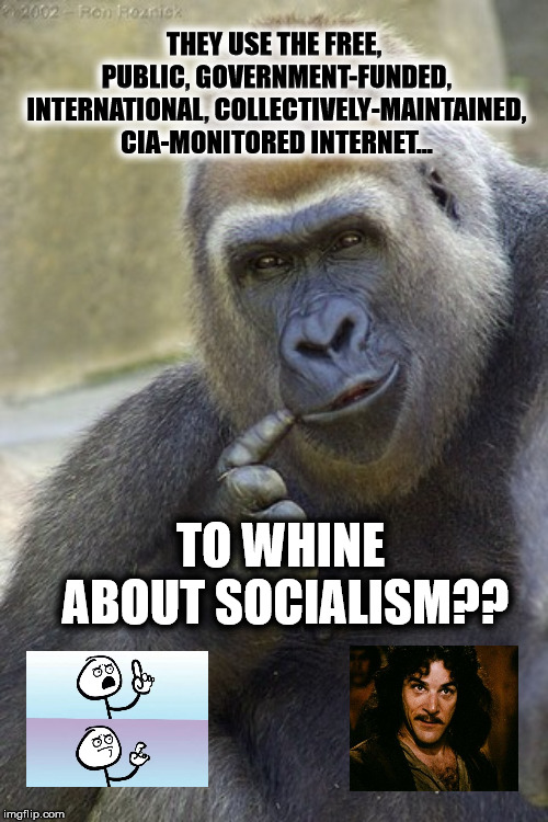 Bite the Hand | THEY USE THE FREE, PUBLIC, GOVERNMENT-FUNDED, INTERNATIONAL, COLLECTIVELY-MAINTAINED, CIA-MONITORED INTERNET... TO WHINE ABOUT SOCIALISM?? | image tagged in memes,dank memes,politics,socialism,funny,clueless | made w/ Imgflip meme maker