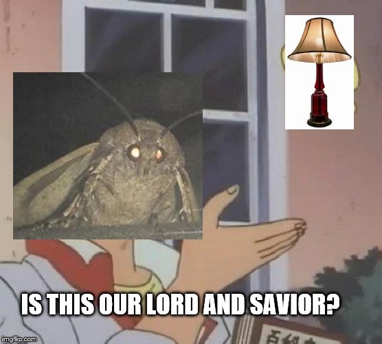 Is This A Pigeon Meme | IS THIS OUR LORD AND SAVIOR? | image tagged in memes,is this a pigeon | made w/ Imgflip meme maker