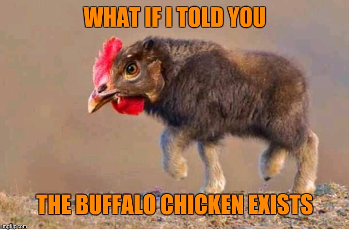 Buffalo Chicken | WHAT IF I TOLD YOU; THE BUFFALO CHICKEN EXISTS | image tagged in memes,buffalo chicken,food | made w/ Imgflip meme maker