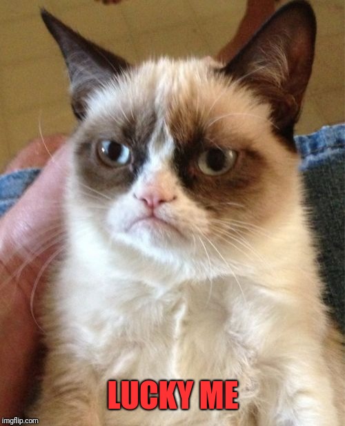 Grumpy Cat Meme | LUCKY ME | image tagged in memes,grumpy cat | made w/ Imgflip meme maker