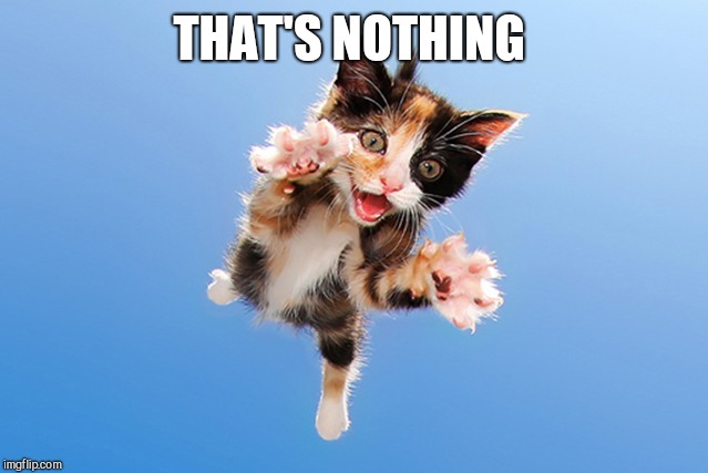 Cat Jumping | THAT'S NOTHING | image tagged in cat jumping | made w/ Imgflip meme maker