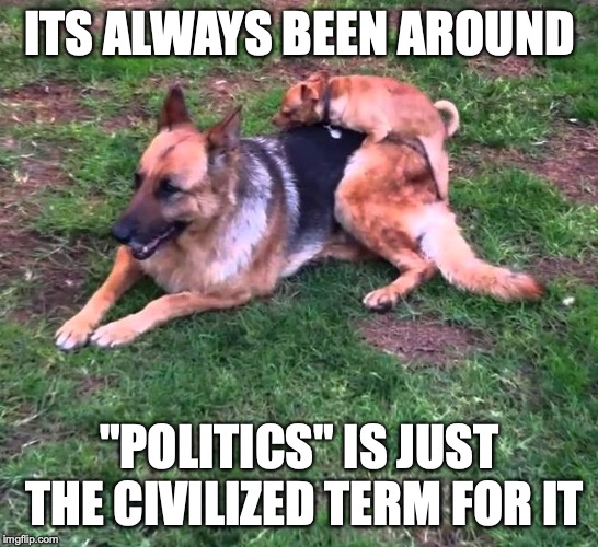 The struggle for power between economic and social classes | ITS ALWAYS BEEN AROUND "POLITICS" IS JUST THE CIVILIZED TERM FOR IT | image tagged in chihuahua humping german shepherd | made w/ Imgflip meme maker