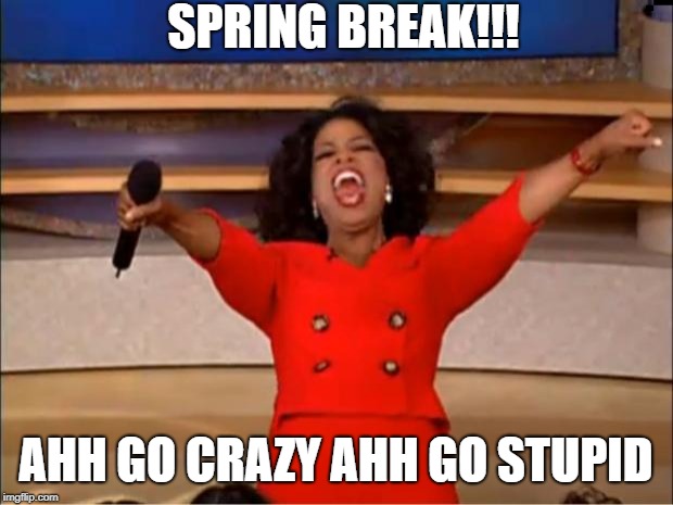 Oprah You Get A | SPRING BREAK!!! AHH GO CRAZY AHH GO STUPID | image tagged in memes,oprah you get a | made w/ Imgflip meme maker
